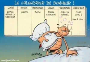 Calendrier du bonheur