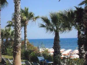 comment automatiser son business