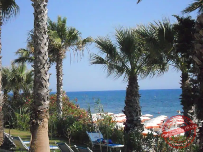 comment automatiser son business